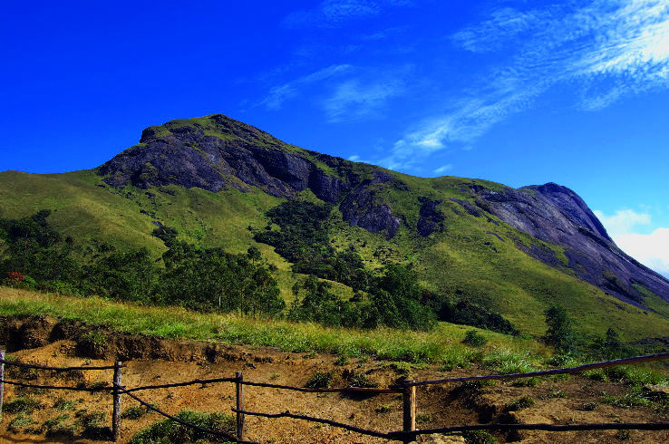 1. Eravikulam National Park